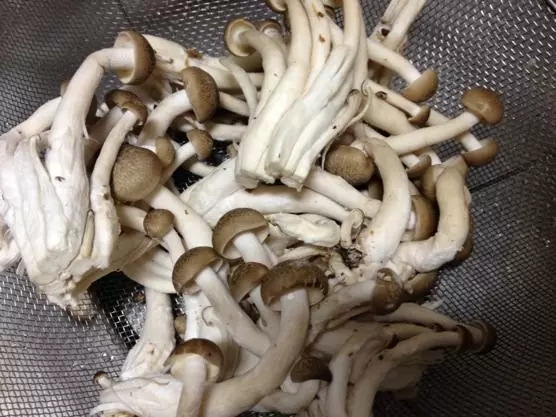 和風 パスタ レシピIMG 6854