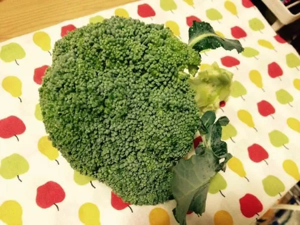 ブロッコリー パスタ レシピIMG 7168