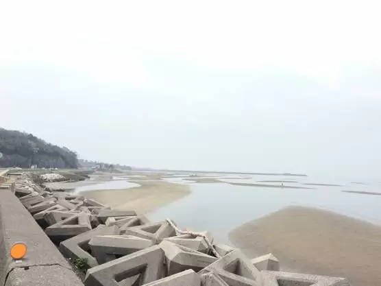 大分 香々地 菜の花 2015IMG 3335