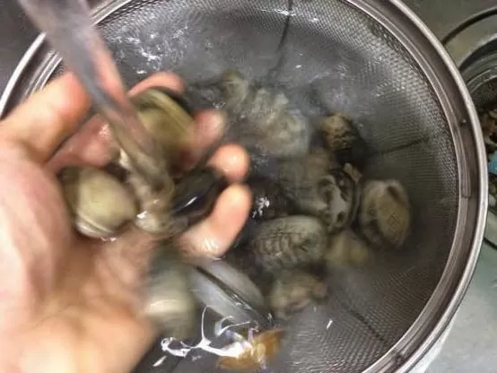 アサリ 砂抜き IMG 1045