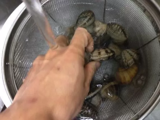 アサリ 砂抜き IMG 1041