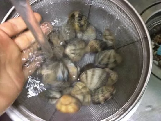 アサリ 砂抜き IMG 1046