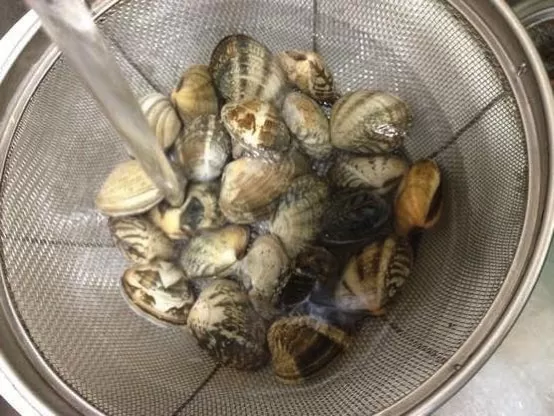 アサリ 砂抜き IMG 1040