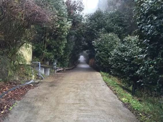 温泉 湯布院 子連れ 5488