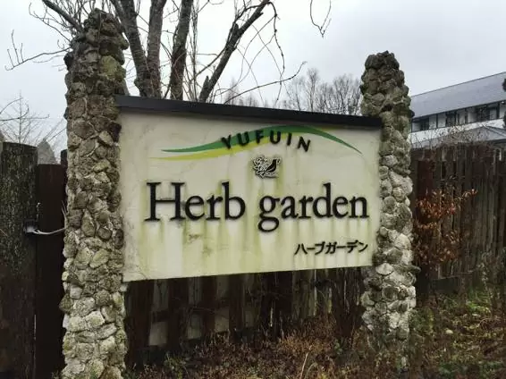 温泉 湯布院 子連れ 5552