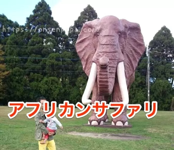 杉乃井ホテルから　アフリカンサファリ